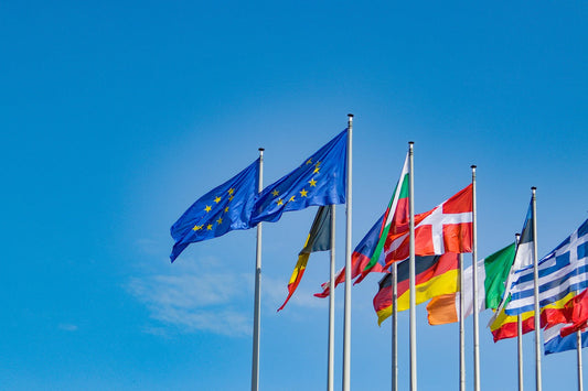 Bild EU-Flaggen von Dušan Cvetanović auf Pixabay